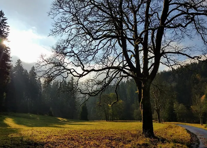 Daire Kupferstollen *