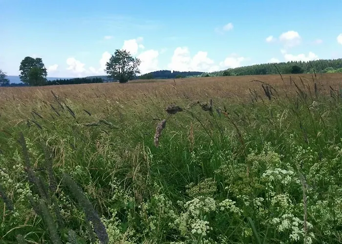 Daire Kupferstollen *